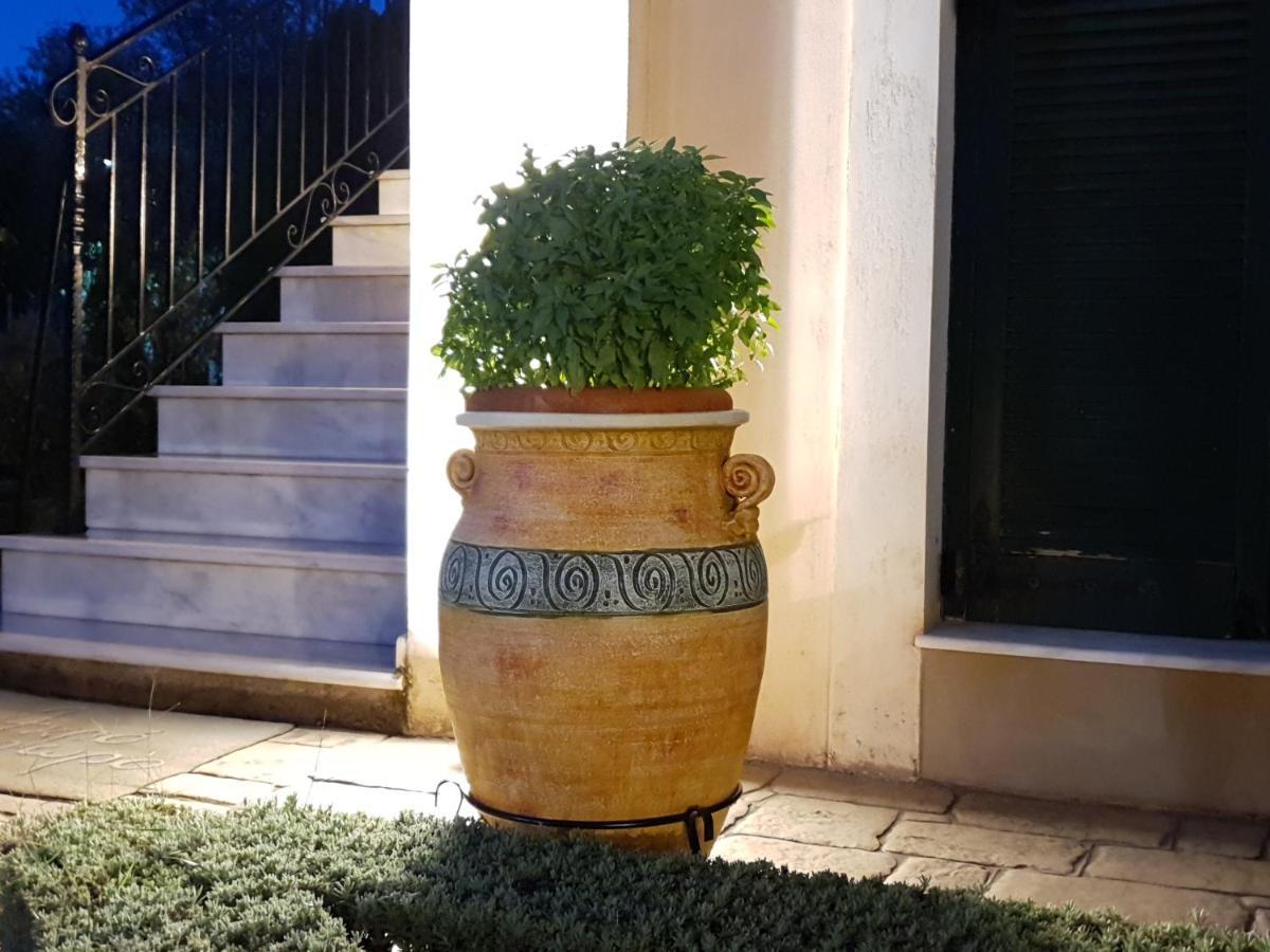 Villa Acroploro Galaxídhion Esterno foto